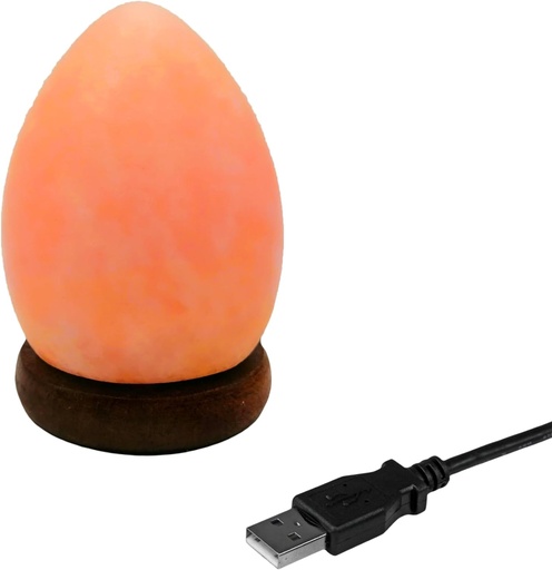 [017314] Lampara Sal USB huevo